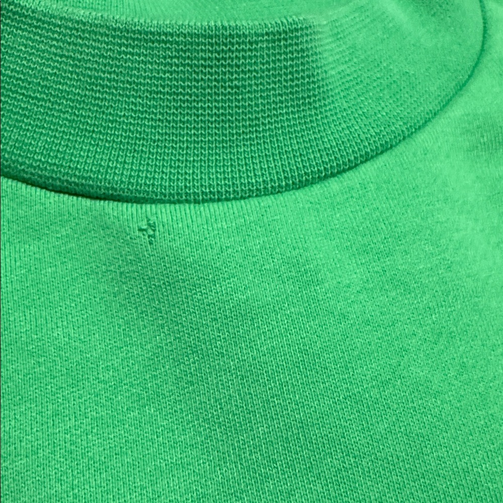 DUA LIPA PANGAIA X FUTURE NOSTALGIA Vibrant Green Crew Neck Sweater - Picture 10 of 10